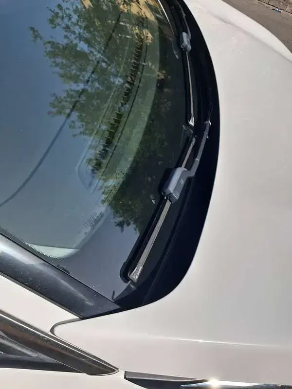Usata Peugeot 5008 Active 131 CV (96 kW) 2019 Bianco SUV