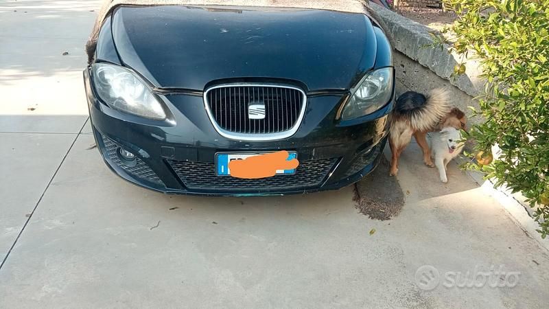 Usata Seat Leon 105 CV (77 kW) 2010 Utilitaria