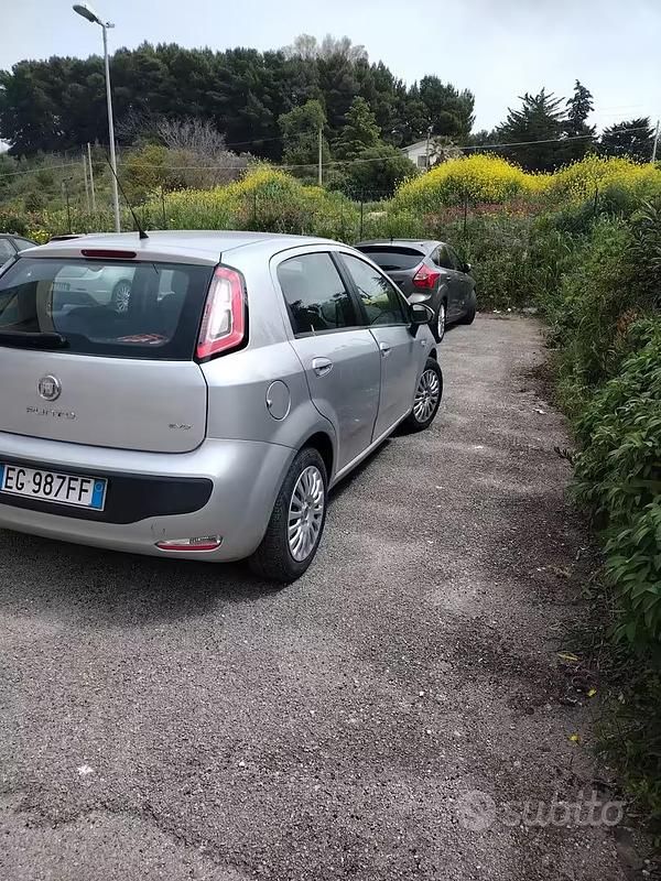 Usata Fiat Punto Evo 95 CV (69 kW) 2011 Grigio Utilitaria