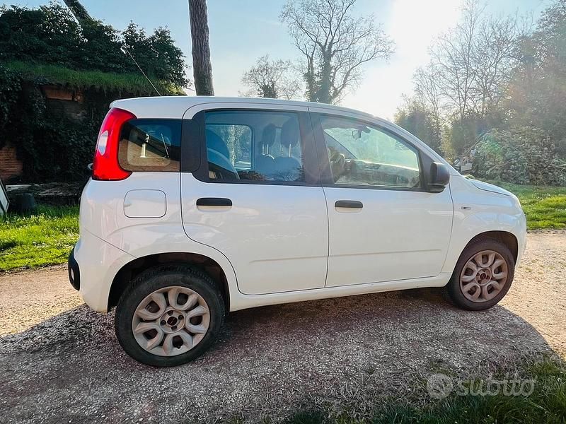 Usata Fiat Panda 80 CV (58 kW) 2015 Bianco Utilitaria