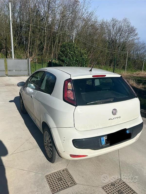 Usata Fiat Punto Evo 2011 Bianco Utilitaria