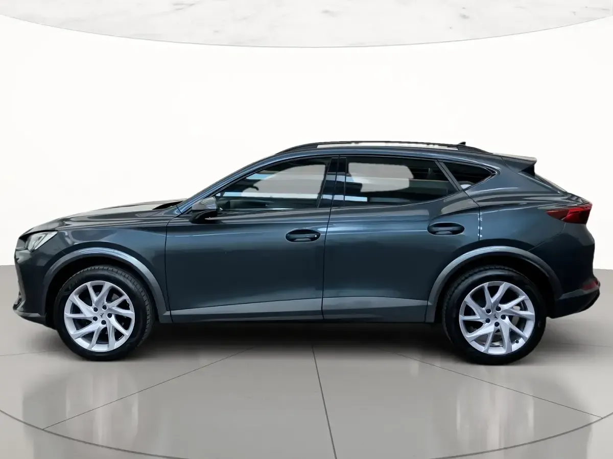 Usata Cupra Formentor 150 CV (110 kW) 2021 Magnetic tech SUV