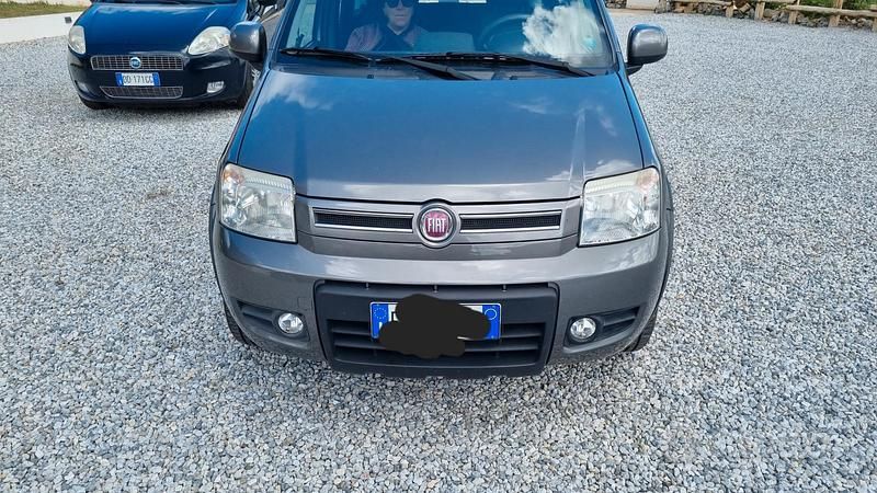 Usata Fiat Panda 4x4 2011 Grigio Utilitaria