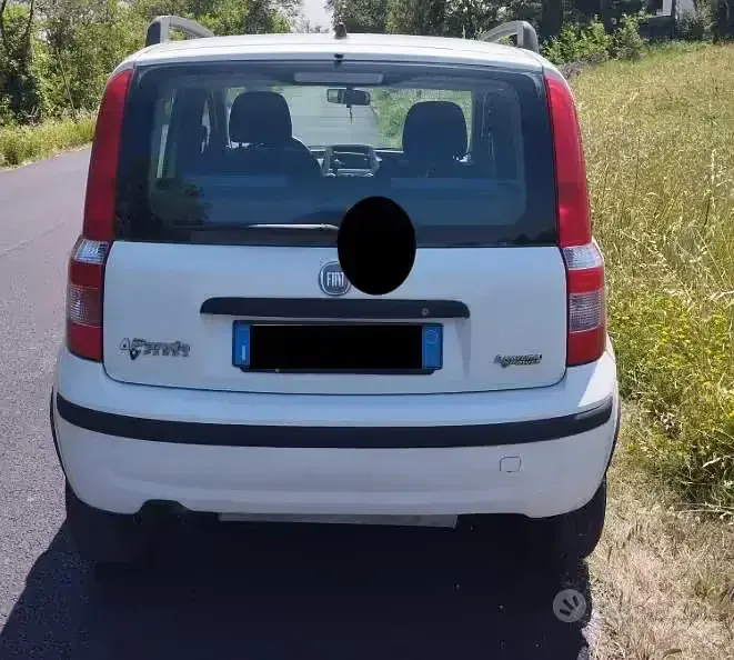 Usata Fiat Panda 60 CV (44 kW) 2009 Bianco Utilitaria