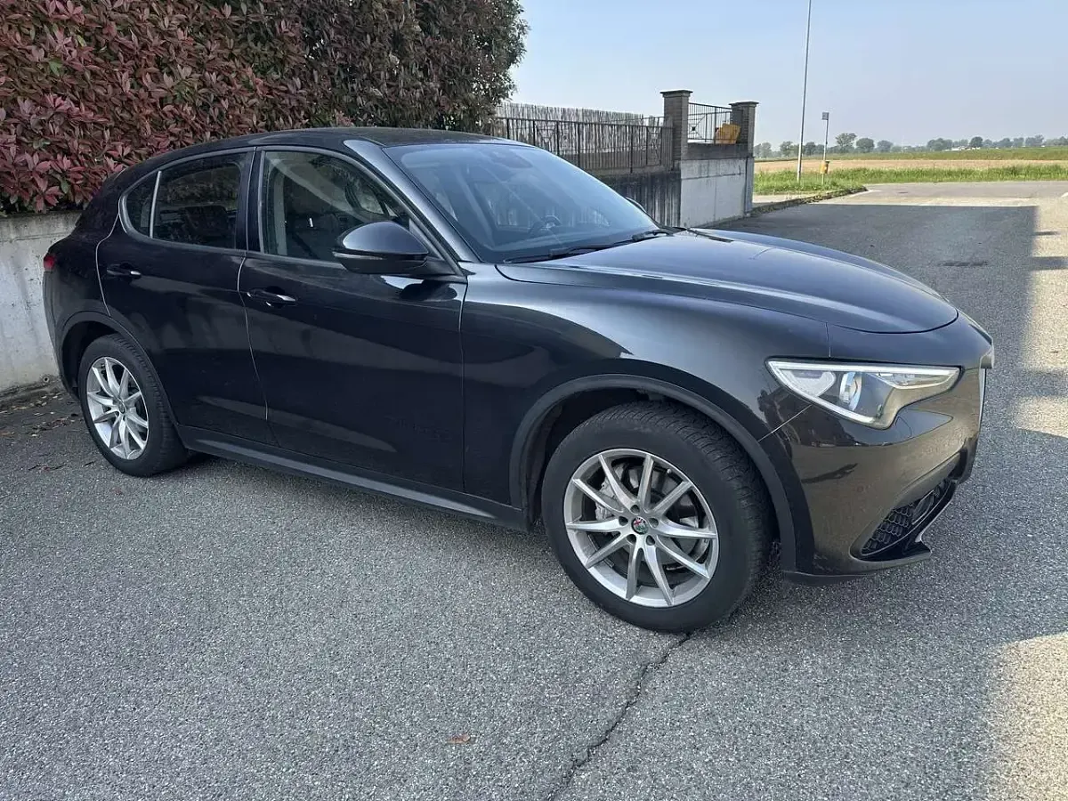 Usata Alfa Romeo Stelvio Business 209 CV (153 kW) 2019 Other SUV