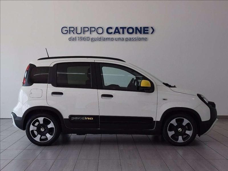 Usata Fiat Panda Icon 70 CV (51 kW) 2025 Bianco Utilitaria
