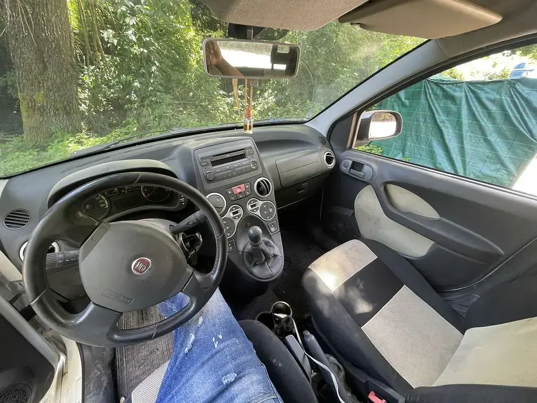 Usata Fiat Panda 4x4 Cross 69 CV (50 kW) 2010 Argento Utilitaria