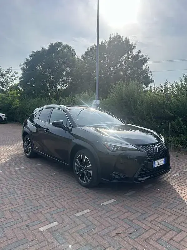 Usata Lexus UX 250h 145 CV (106 kW) 2019 SUV