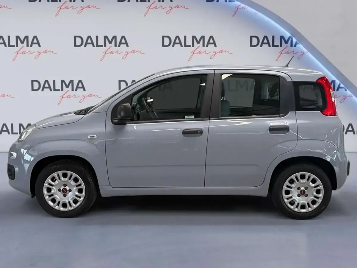 Usata Fiat Panda Pop 69 CV (50 kW) 2018 Grigio Utilitaria