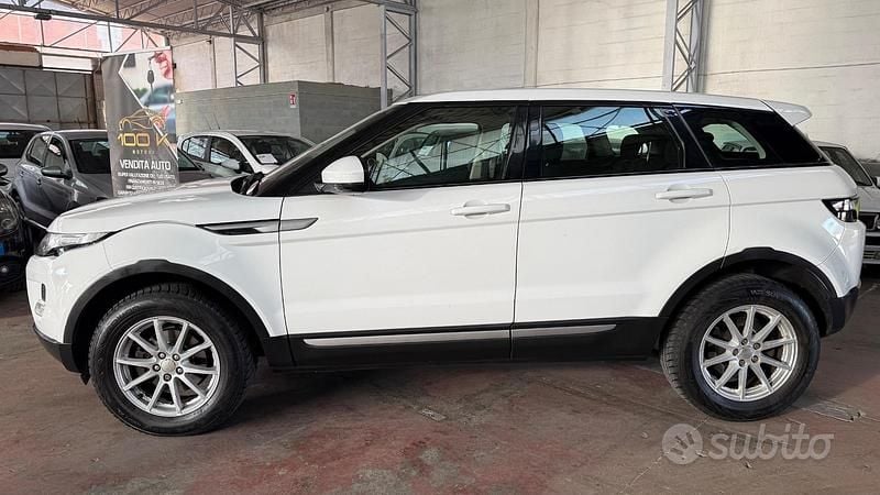 Usata Land Rover Range Rover evoque Prestige 149 CV (109 kW) 2014 Bianco SUV