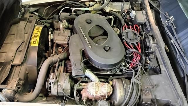 Usata Chevrolet Corvette C3 1986 Bianco