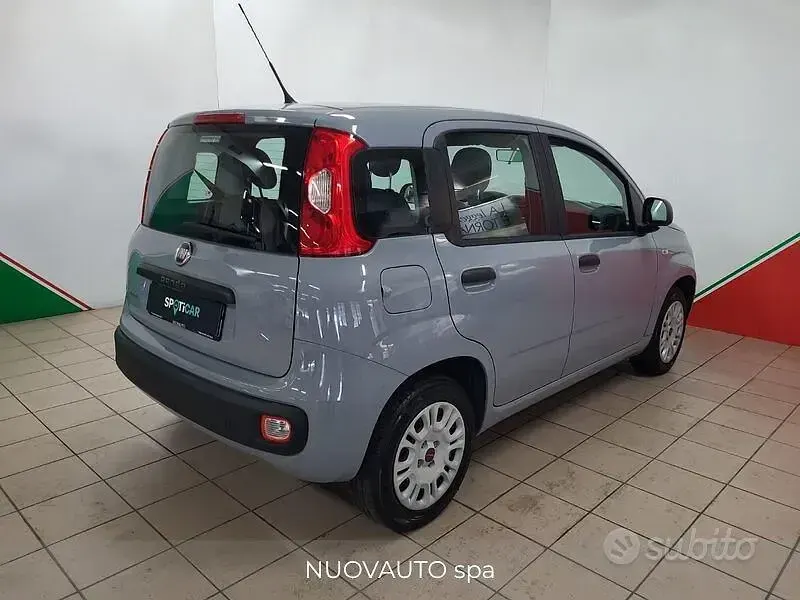 Usata Fiat Panda Easy 69 CV (50 kW) 2019 Grigio Utilitaria