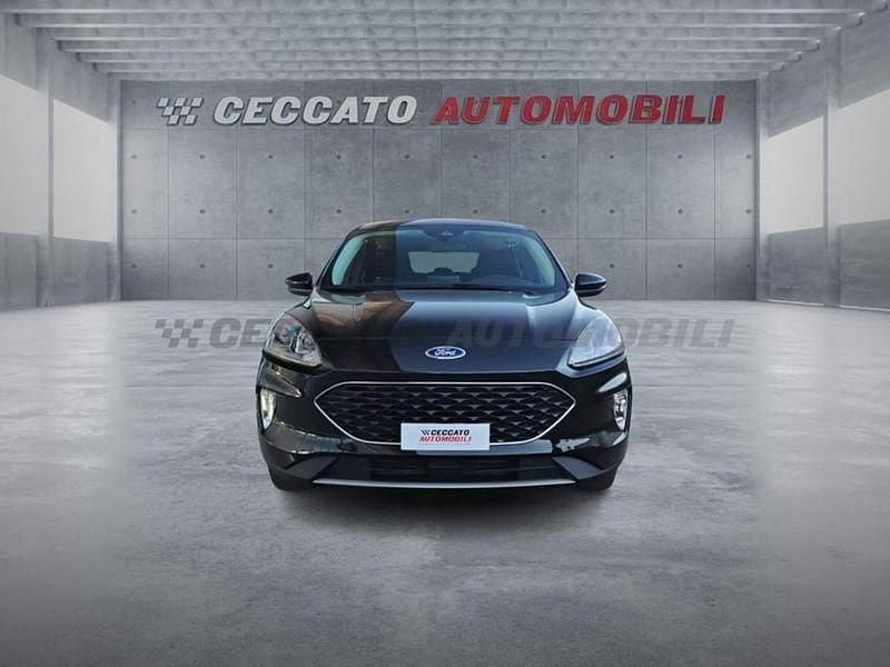 Usata Ford Kuga Titanium X 150 CV (110 kW) 2024 Nero SUV