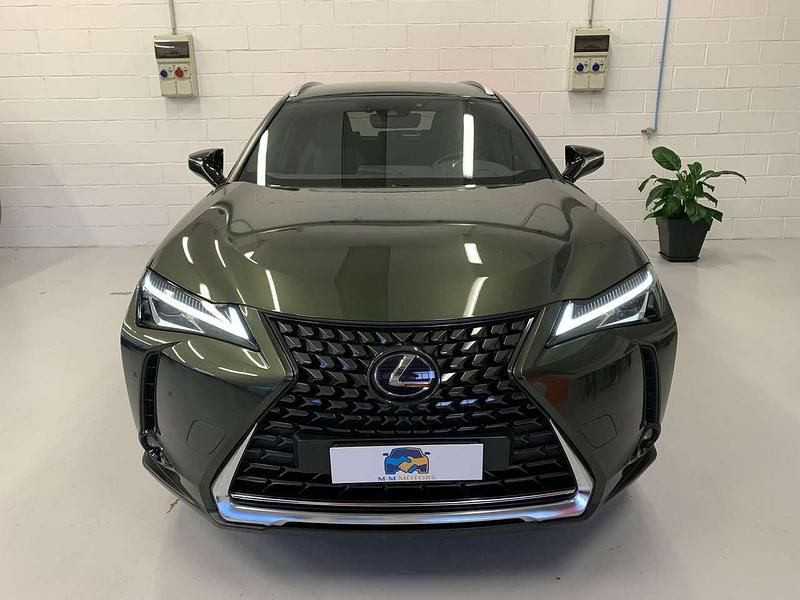Usata Lexus UX Luxury Line 145 CV (106 kW) 2019 Verde SUV