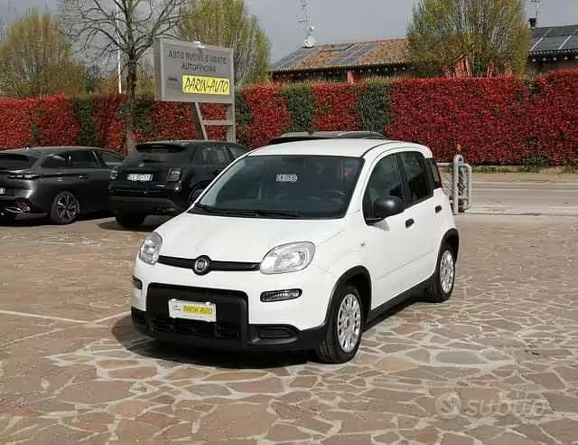 Usata Fiat Panda S 70 CV (51 kW) 2023 Bianco Utilitaria