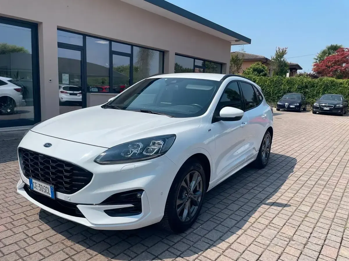 Usata Ford Kuga ST-Line X 120 CV (88 kW) 2021 Bianco SUV