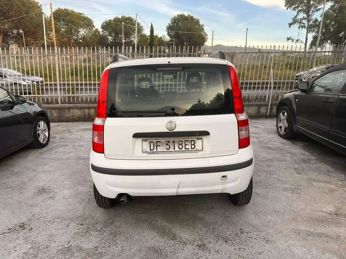 Usata Fiat Panda Active 54 CV (39 kW) 2006 Bianco Utilitaria