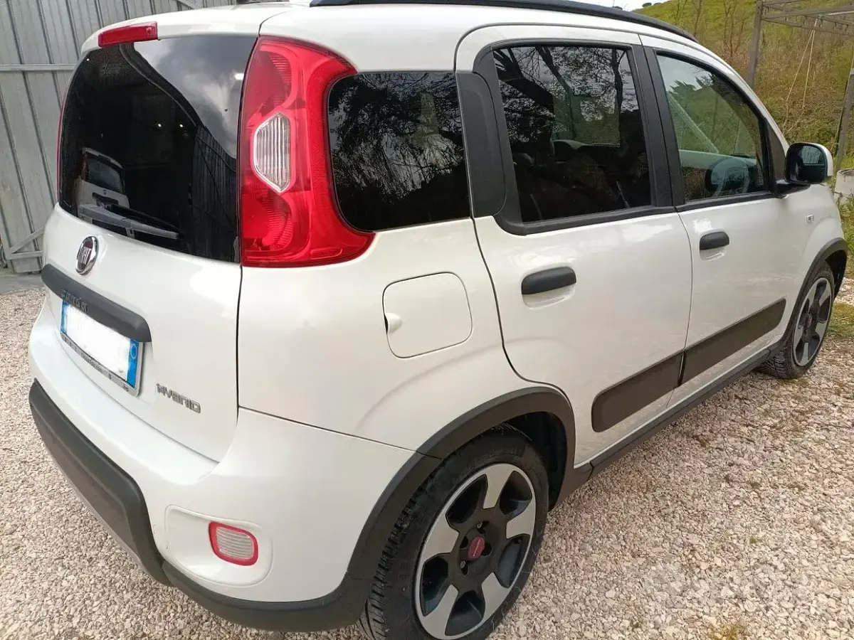 Usata Fiat Panda 70 CV (51 kW) 2022 Bianco Utilitaria