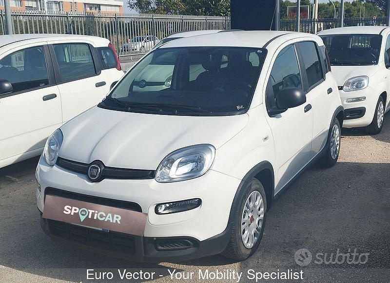 Usata Fiat Panda S 70 CV (51 kW) 2023 Bianco Utilitaria