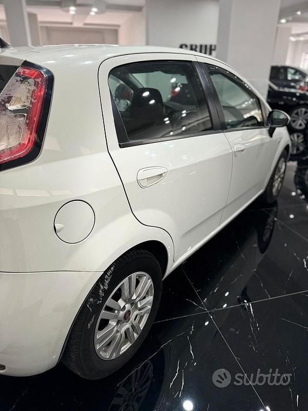 Usata Fiat Punto Lounge 85 CV (62 kW) 2014 Bianco Utilitaria