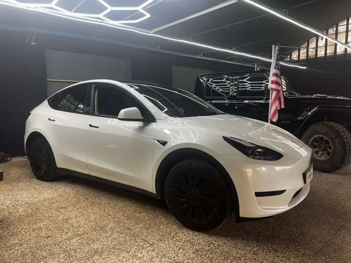 Usata Tesla Model Y RWD 255 kW (347 CV) 2024 Other SUV