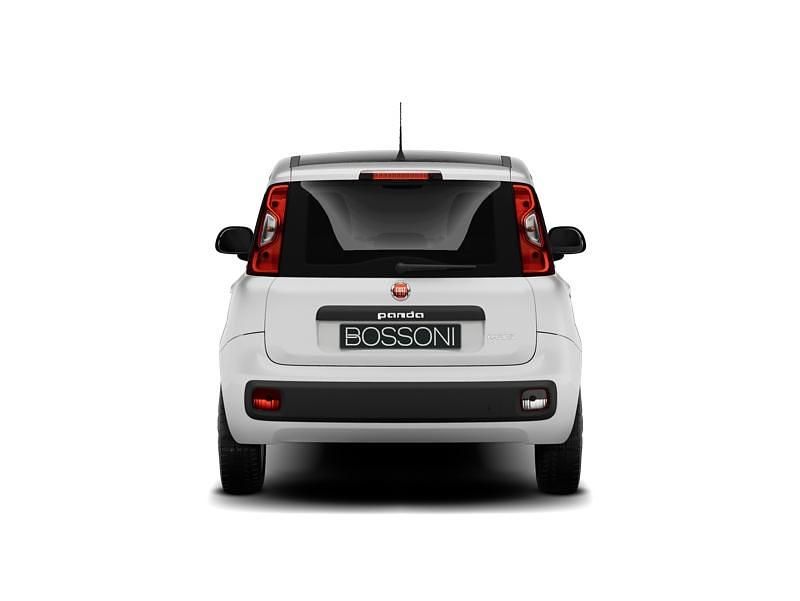 Usata Fiat Panda S 70 CV (51 kW) 2023 Bianco Utilitaria