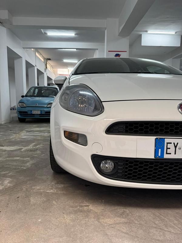 Usata Fiat Punto Young 85 CV (62 kW) 2015 Bianco Utilitaria