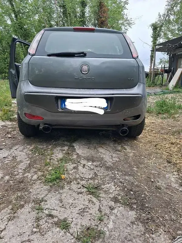 Usata Fiat Punto Evo Dynamic 69 CV (50 kW) 2012 Utilitaria