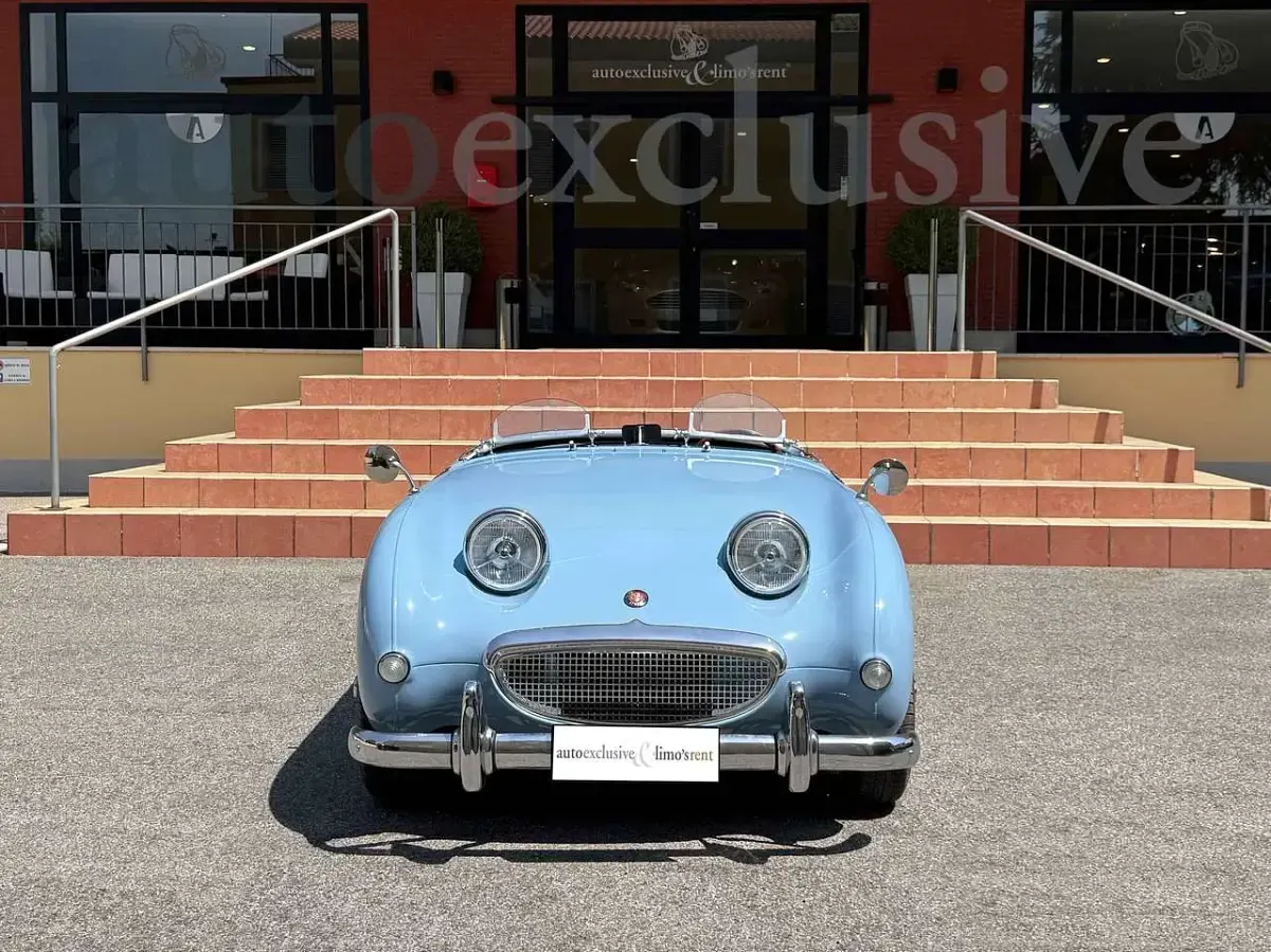 Usata Austin Healey Frogeye 44 CV (32 kW) 1960 Azzurro Cabrio