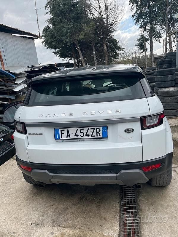 Usata Land Rover Range Rover evoque 150 CV (110 kW) 2015 Bianco SUV