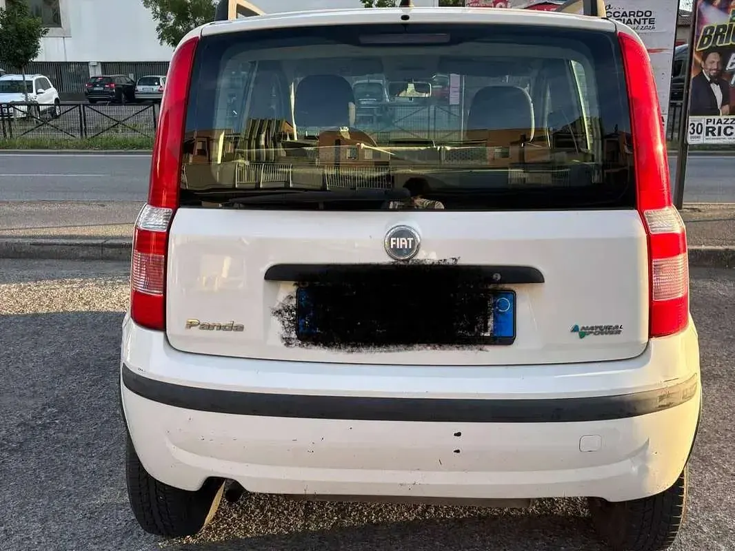 Usata Fiat Panda Dynamic 60 CV (44 kW) 2007 Bianco Utilitaria