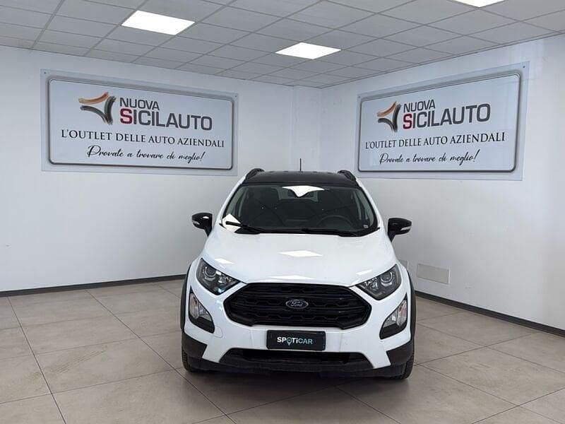 Usata Ford Ecosport Active 125 CV (91 kW) 2022 Bianco SUV
