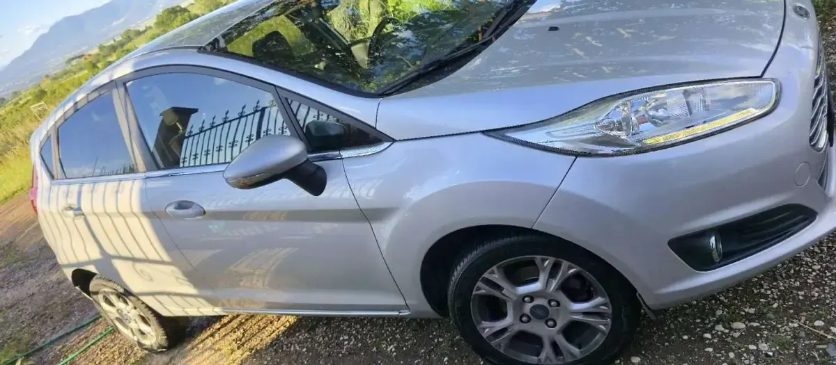 Usata Ford Fiesta Business Edition 97 CV (71 kW) 2017 Argento Utilitaria
