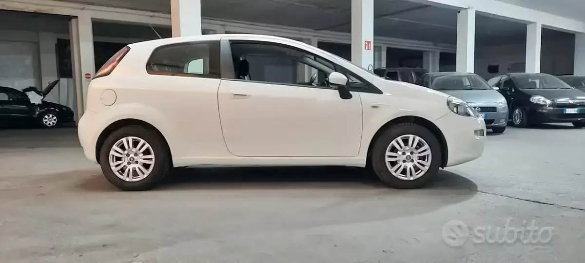 Usata Fiat Punto Lounge 69 CV (50 kW) 2014 Bianco Utilitaria