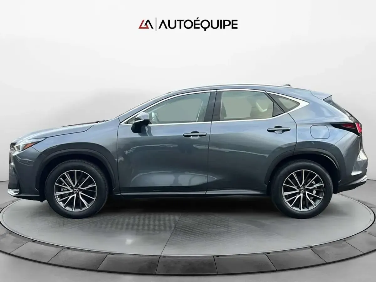 Usata Lexus NX350h Business Edition 243 CV (178 kW) 2023 Grigio SUV