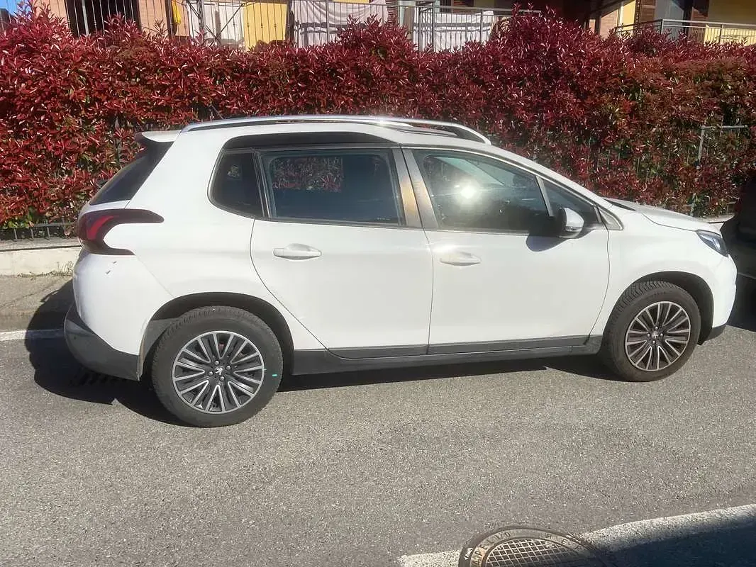Usata Peugeot 2008 Active 102 CV (75 kW) 2018 Bianco SUV