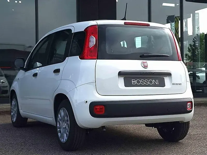 Usata Fiat Panda Icon 65 CV (47 kW) 2026 Bianco Utilitaria