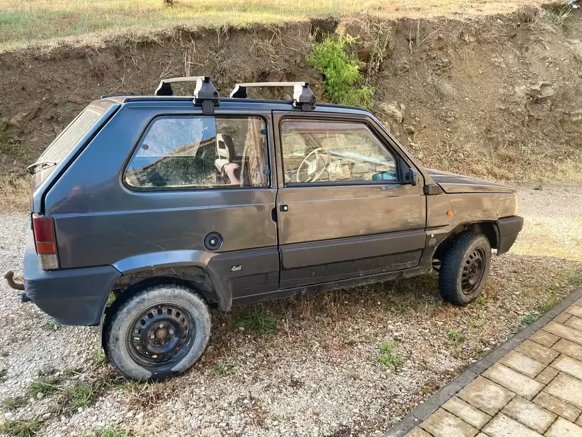 Usata Fiat Panda 4x4 1993 Utilitaria