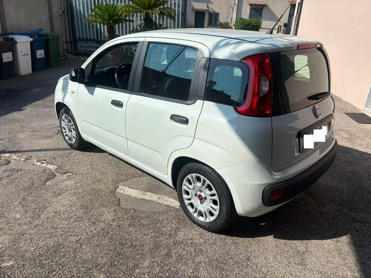 Usata Fiat Panda Easy 69 CV (50 kW) 2020 Bianco Utilitaria