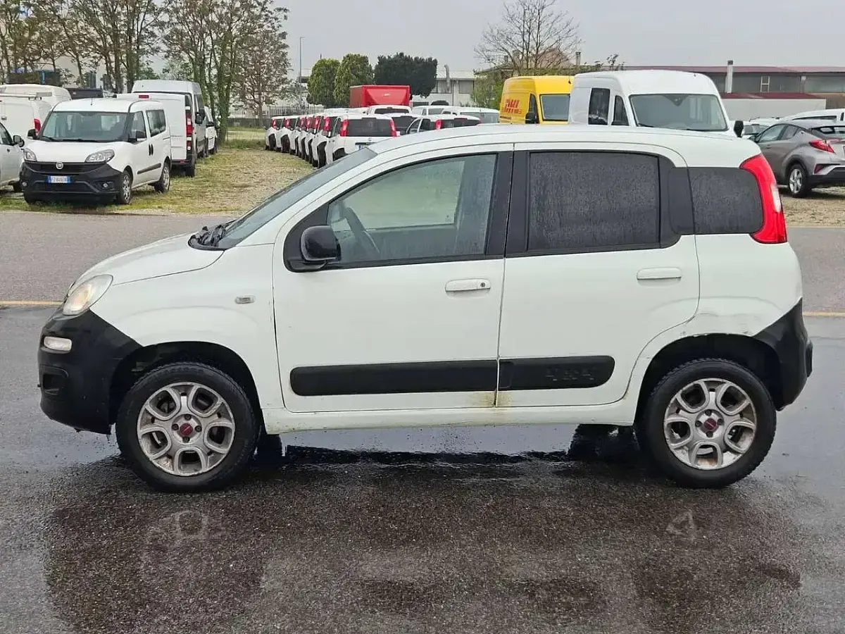 Usata Fiat Panda 4x4 80 CV (58 kW) 2016 Bianco Utilitaria