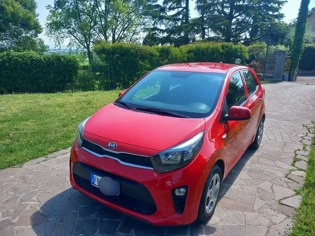 Usata Kia Picanto Active 67 CV (49 kW) 2017 Rosso Utilitaria