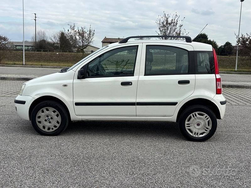 Usata Fiat Panda Dynamic 60 CV (44 kW) 2009 Bianco Utilitaria