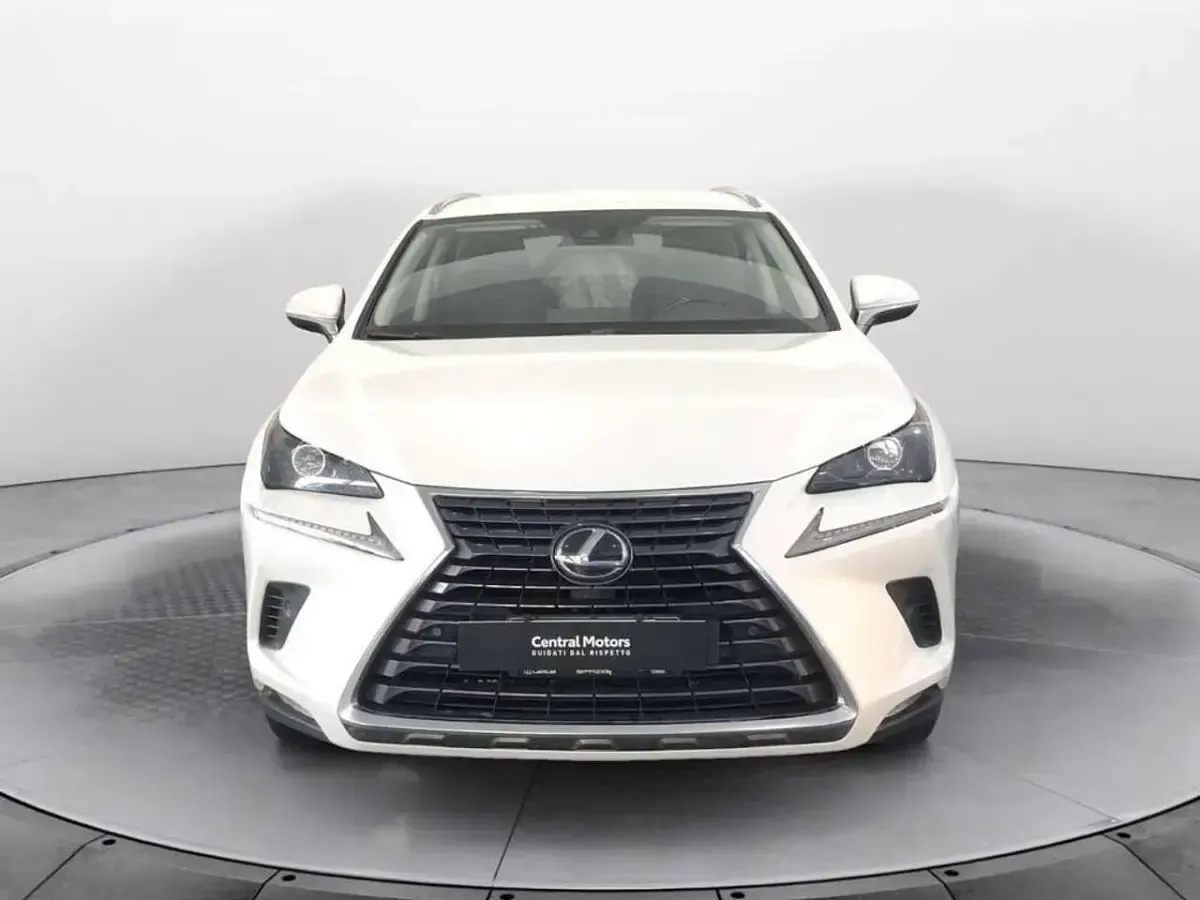 Usata Lexus NX300h 197 CV (144 kW) 2020 Bianco perla SUV