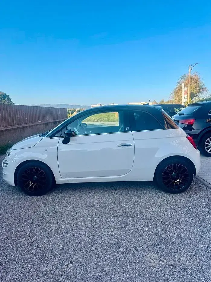 Usata Fiat 500 Easy 69 CV (50 kW) 2019 Bianco Utilitaria
