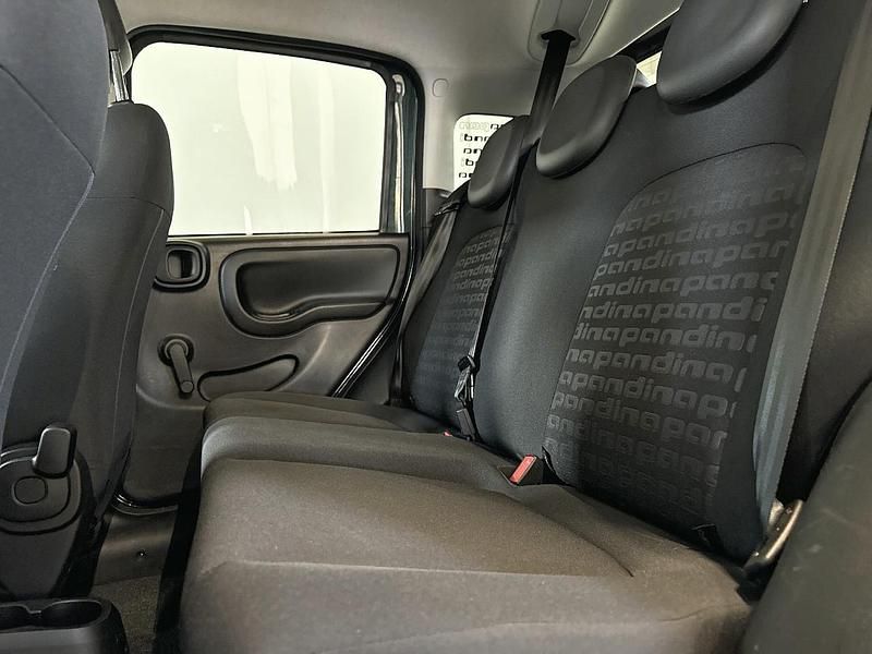 Usata Fiat Panda S 70 CV (51 kW) 2024 Verde Utilitaria