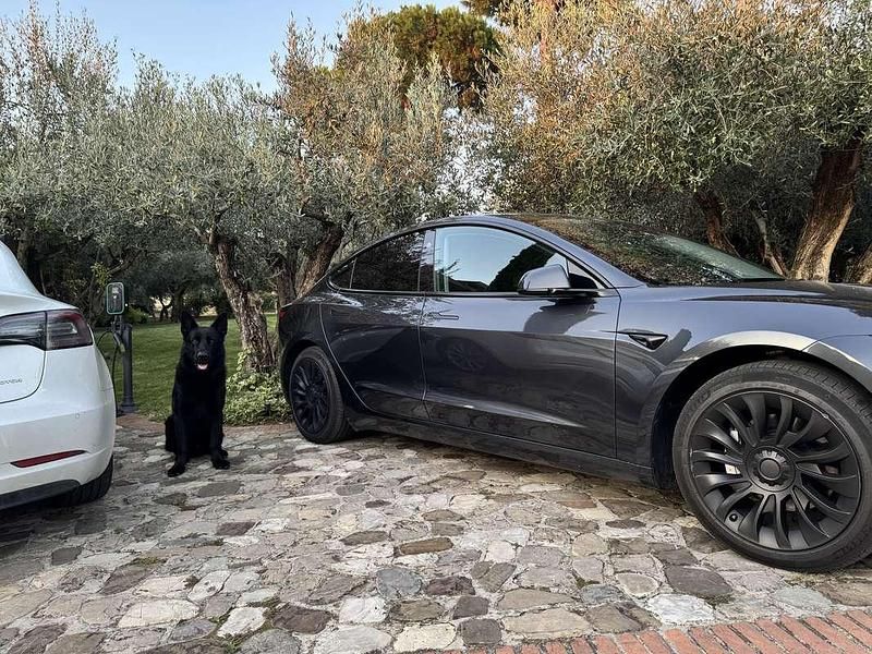 Usata Tesla Model 3 155 kW (211 CV) 2024 Berlina