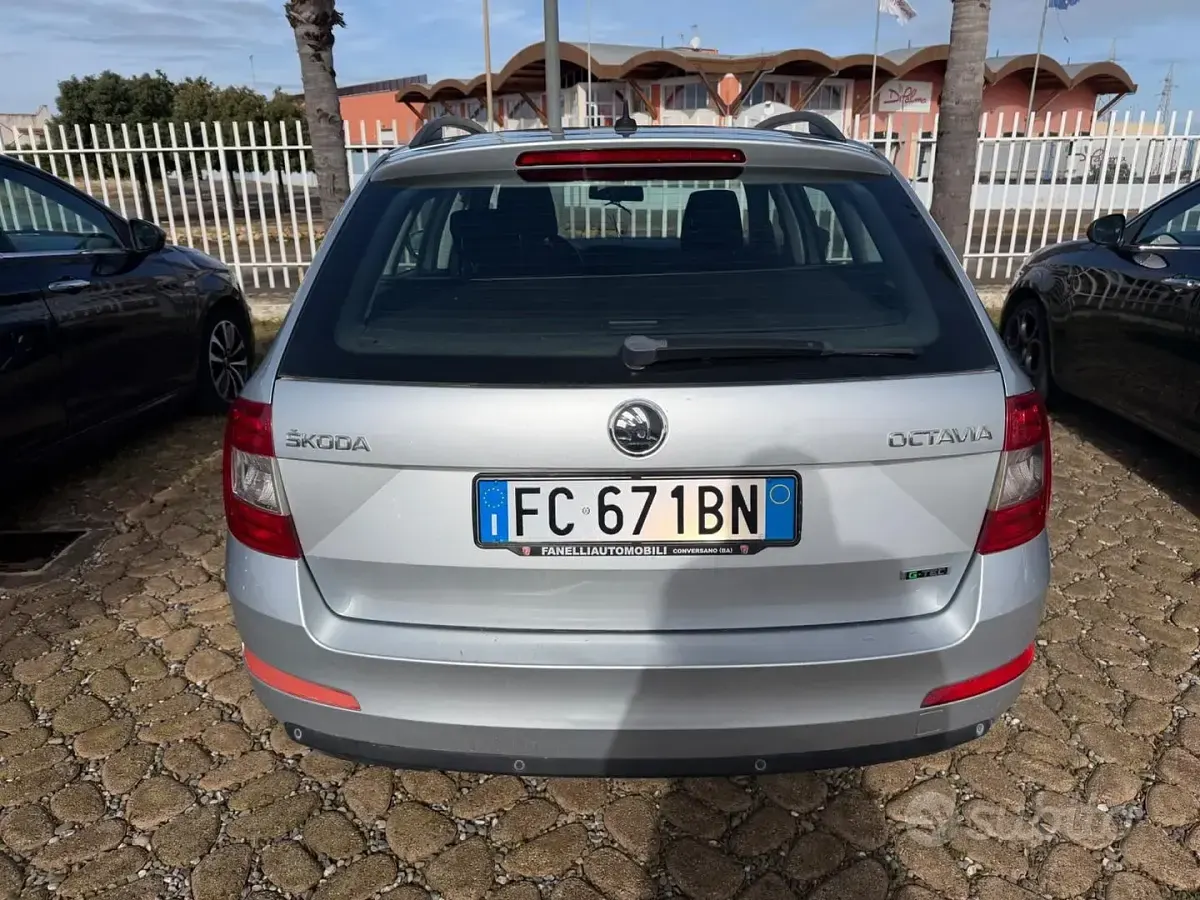 Usata Skoda Octavia G-TEC Ambition 110 CV (80 kW) 2016 Grigio Station wagon