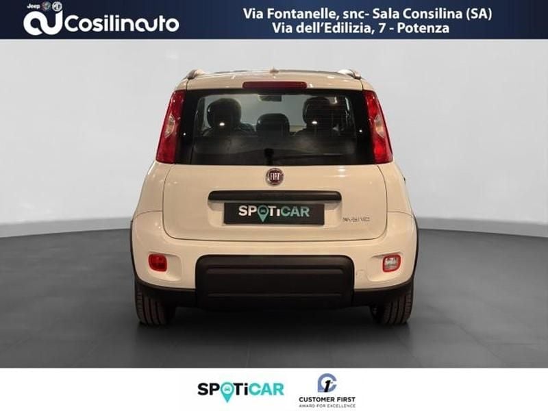 Usata Fiat Panda Cross Cross 69 CV (50 kW) 2022 Bianco Utilitaria