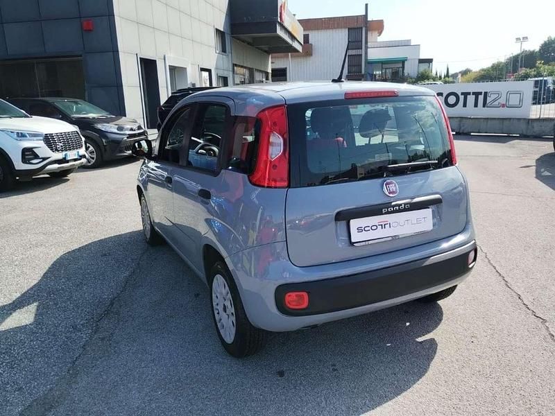 Usata Fiat Panda Easy 69 CV (50 kW) 2020 Grigio Utilitaria