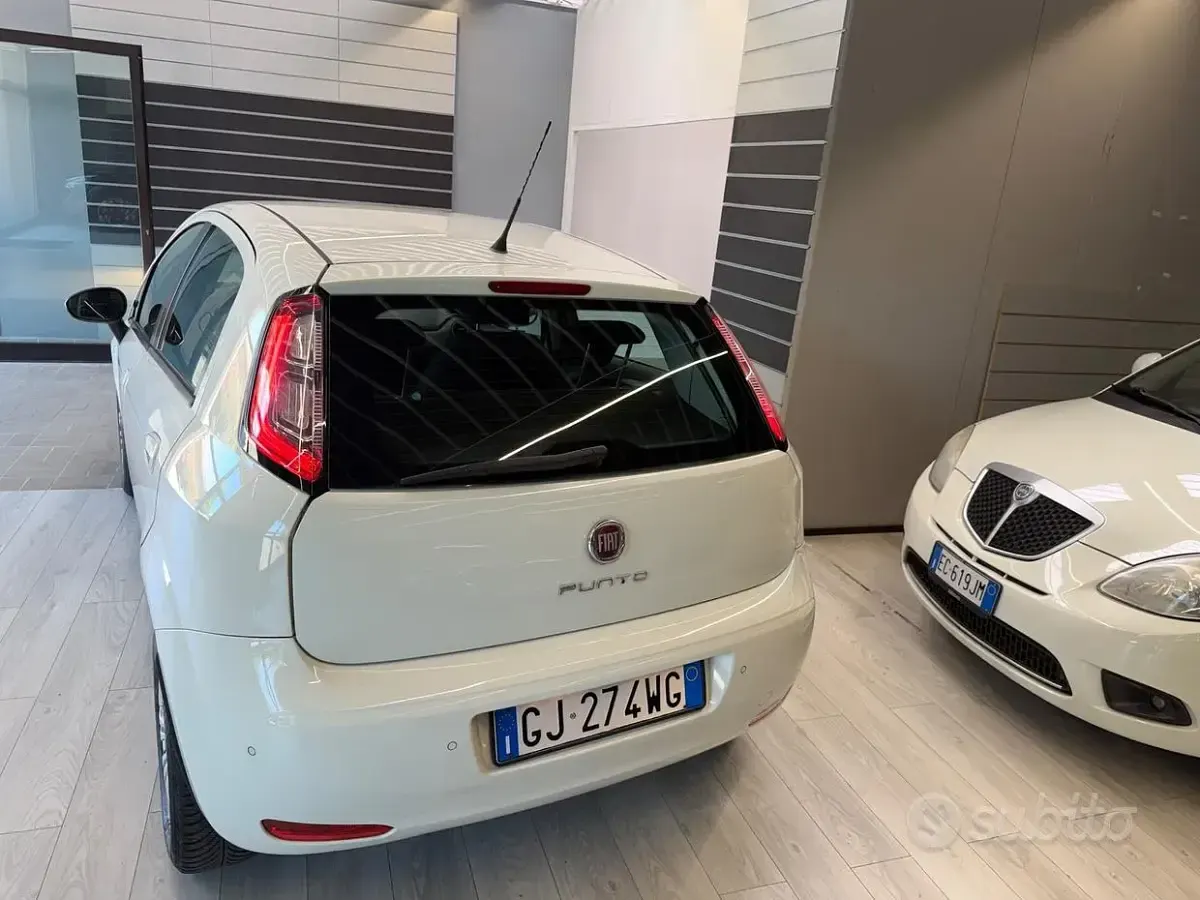 Usata Fiat Punto Lounge 70 CV (51 kW) 2014 Bianco Utilitaria